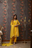 Haldi Suite - Mataish Couture