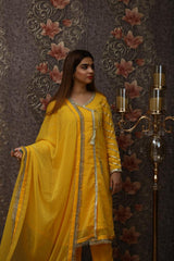 Haldi Suite - Mataish Couture